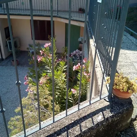 Severini 4*